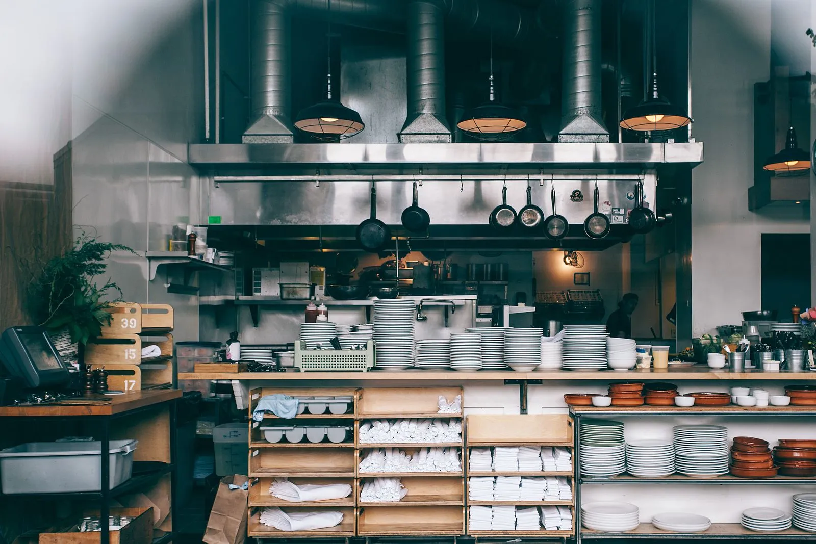 Commercial Pest Control for Gauteng Food and Hospitality Businesses
